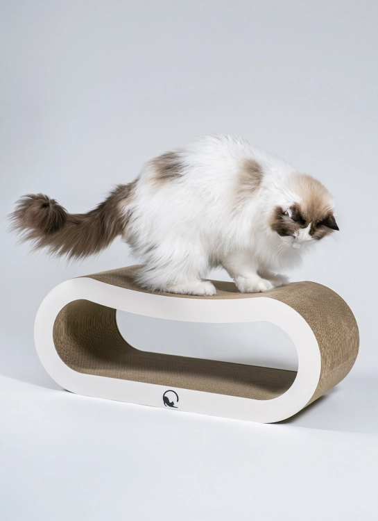 loop-XL-white-01.jpg