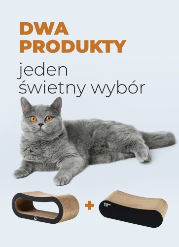 zestaw frebelcat loop black