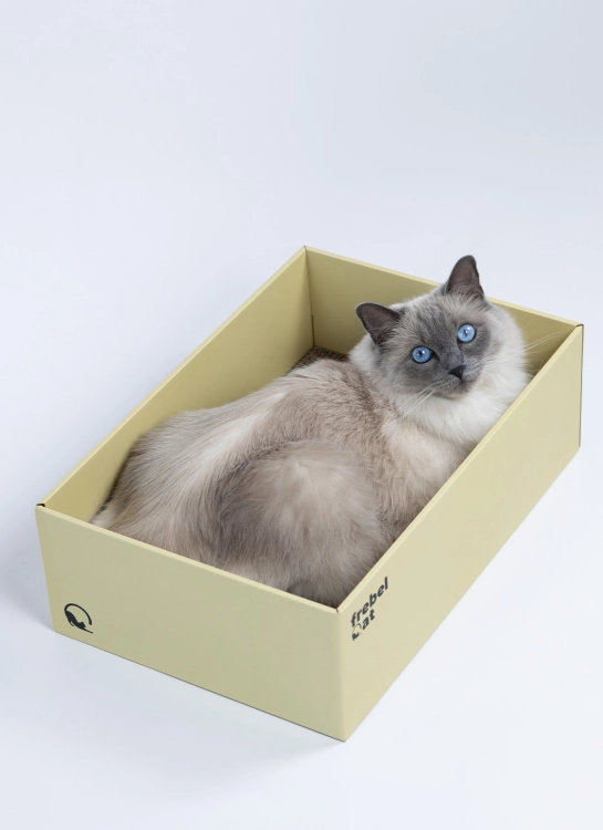 drapak dla kota BOX oliwkowy