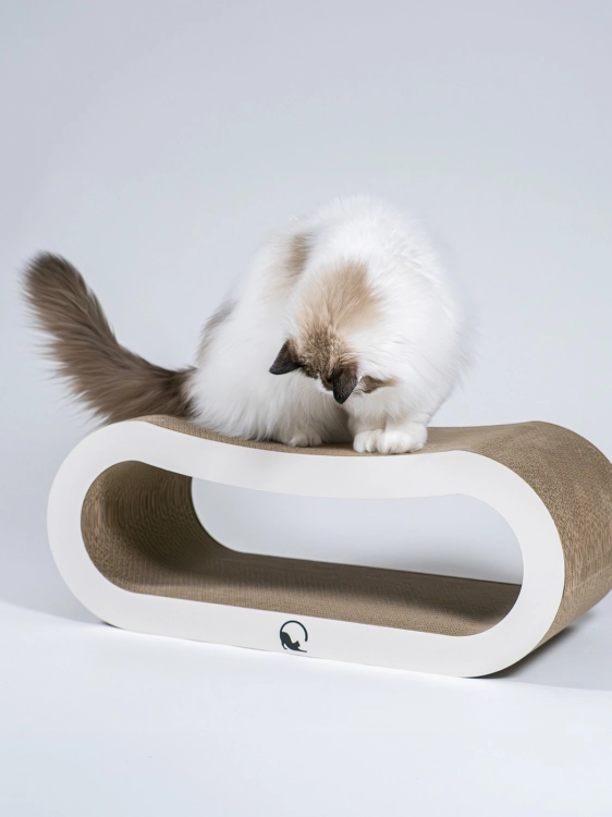 drapak kartonowy LOOP XL white