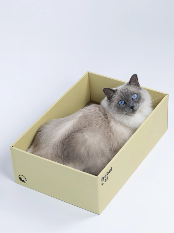 drapak dla kota BOX