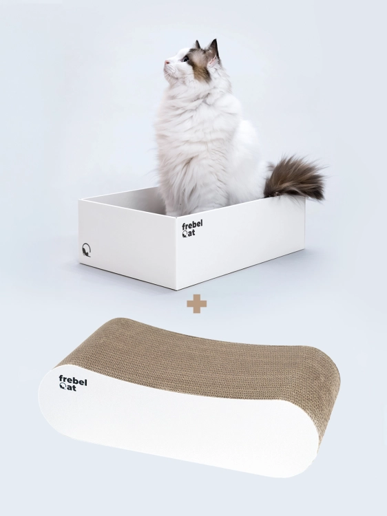frebelcat-loop-white-box-white-2.jpg