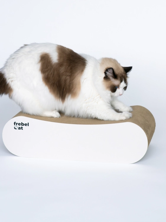 drapak kartonowy LOOP L white