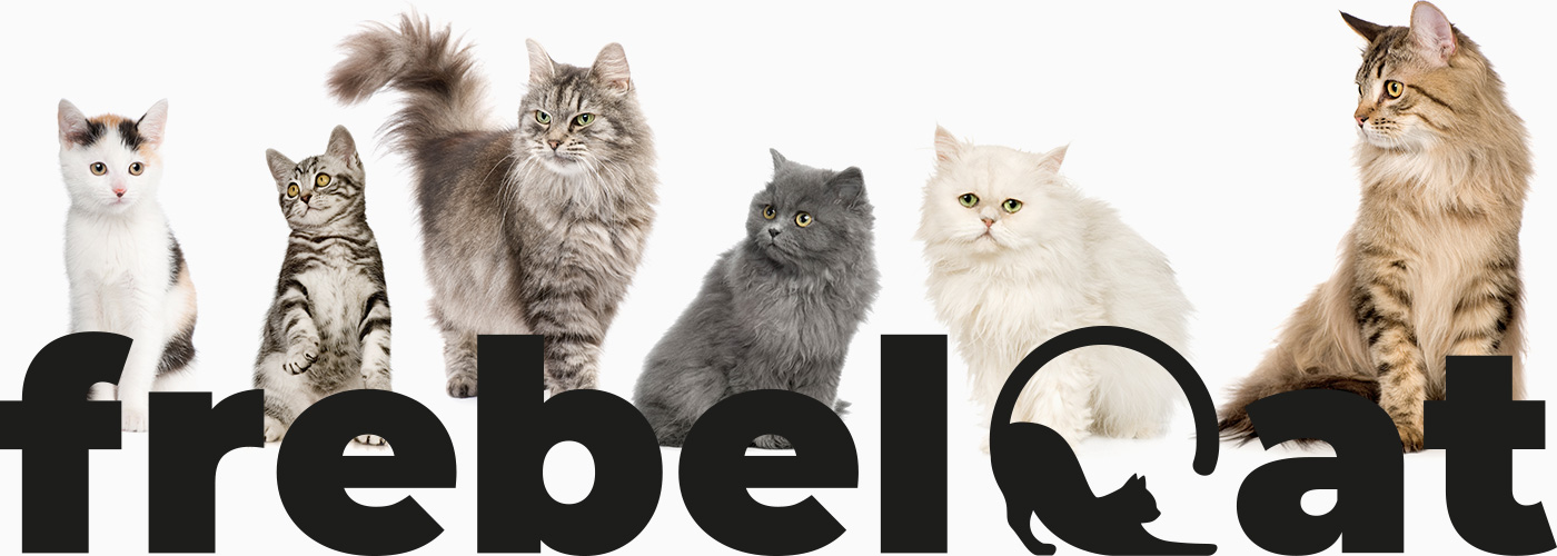 drapaki dla kotów frebelcat