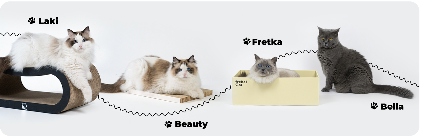 przyjaciele FrebelCat